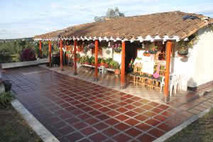 Atehortua's farm in Santa Elena (Photo: Jenifer Rivera)
